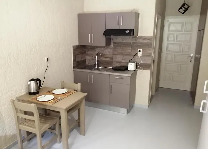 アパートホテル Afrodite Spacious Apartments! 3*