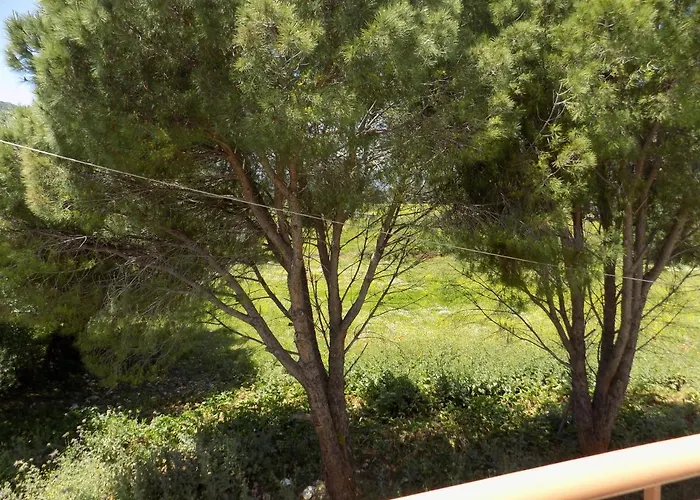 アパートホテル Afrodite Spacious Apartments!